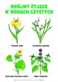 Rosliny_zyjace_w_wodach_czystych_eko