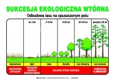 Sukcesja_ekologiczna_wtorna_eko9